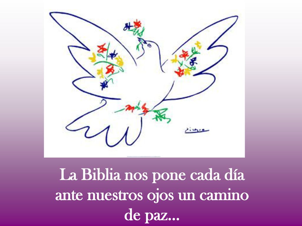 La Biblia nos pone cada día ante nuestros ojos un camino de paz…