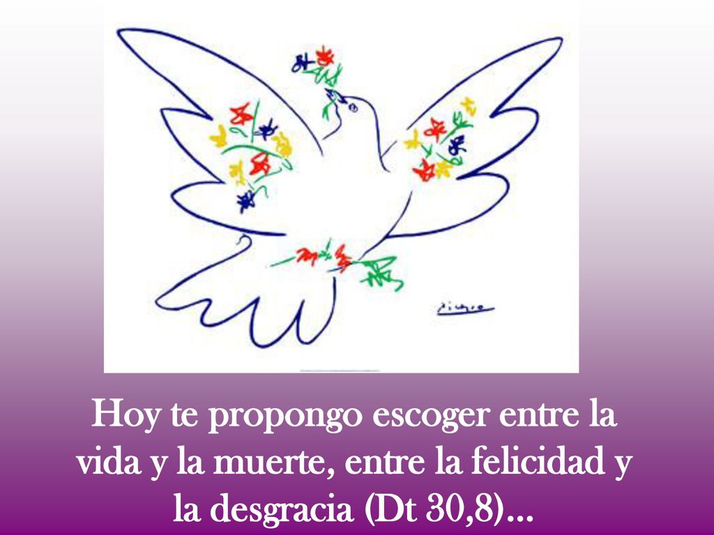 Hoy te propongo escoger entre la vida y la muerte, entre la felicidad y la desgracia (Dt 30,8)…