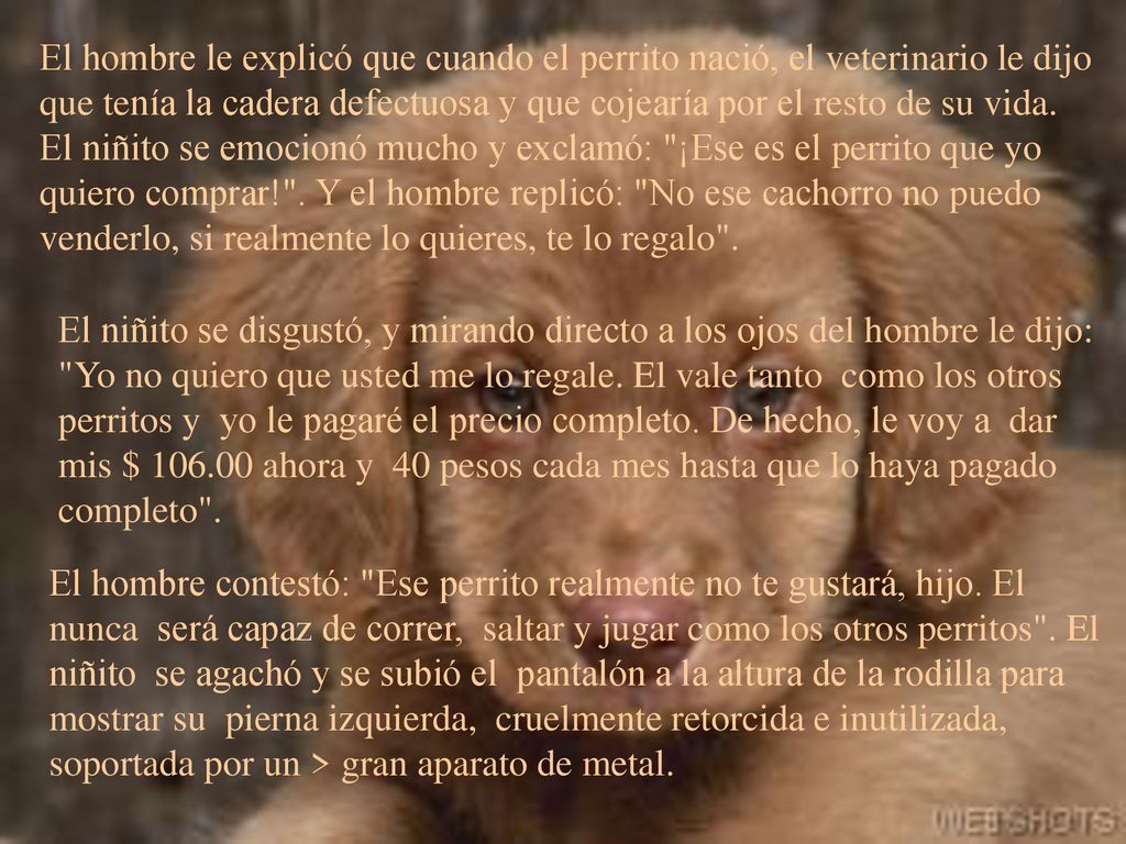 El hombre le explicó que cuando el perrito nació, el veterinario le dijo que tenía la cadera defectuosa y que cojearía por el resto de su vida. El niñito se emocionó mucho y exclamó: ¡Ese es el perrito que yo quiero comprar! . Y el hombre replicó: No ese cachorro no puedo venderlo, si realmente lo quieres, te lo regalo .