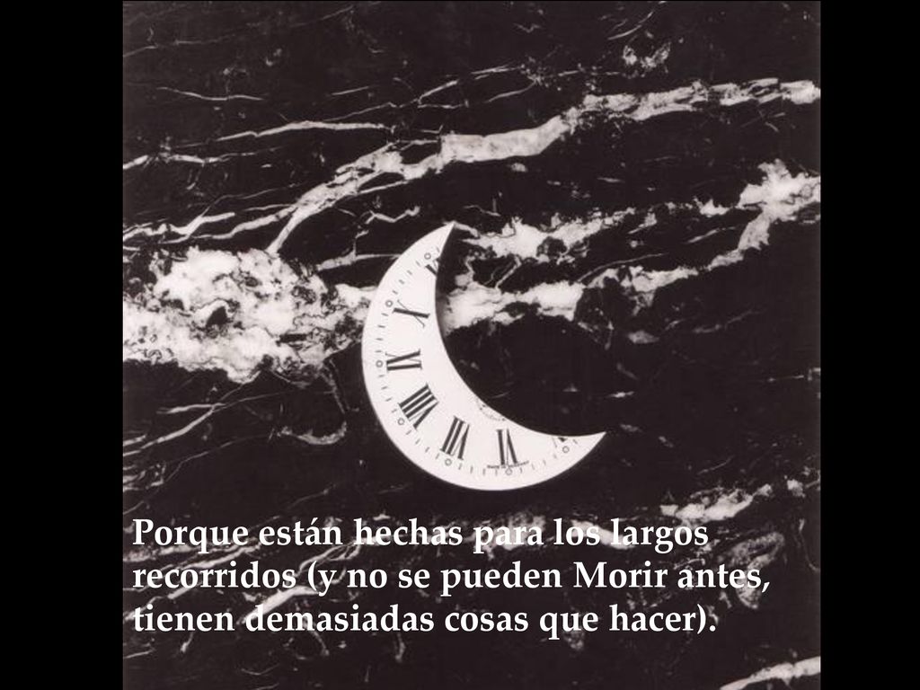 Porque están hechas para los largos recorridos (y no se pueden Morir antes, tienen demasiadas cosas que hacer).