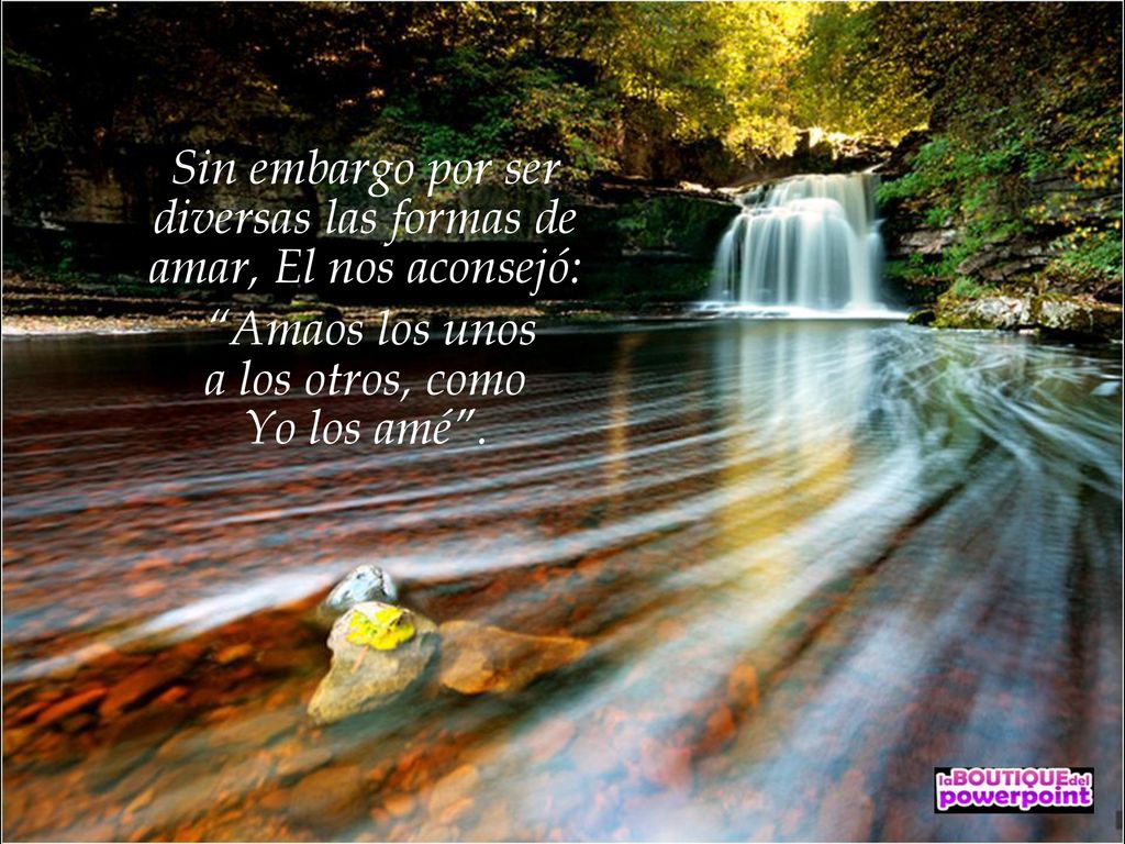Sin embargo por ser diversas las formas de amar, El nos aconsejó:
