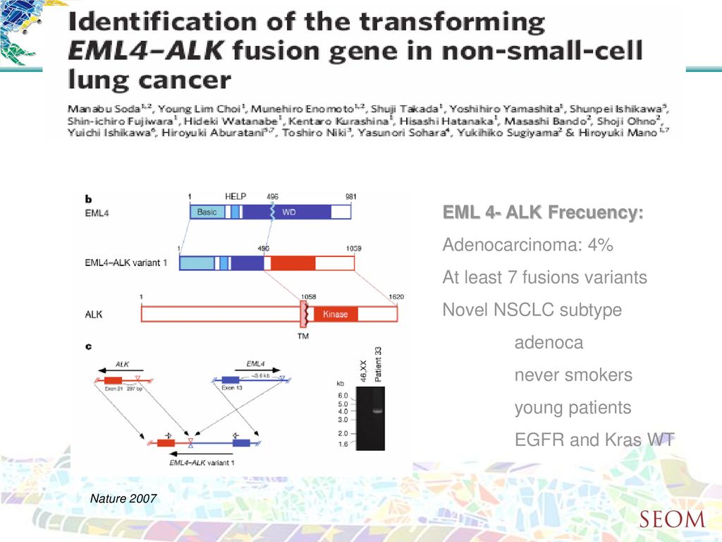 At least 7 fusions variants Novel NSCLC subtype adenoca never smokers