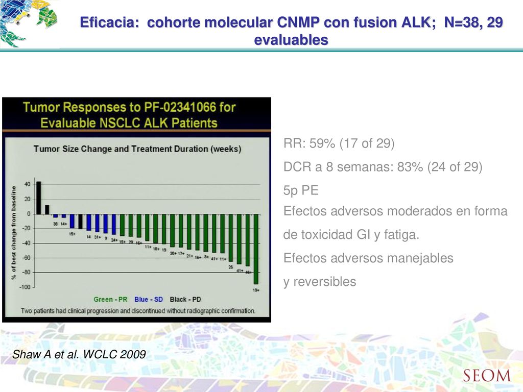 Eficacia: cohorte molecular CNMP con fusion ALK; N=38, 29 evaluables