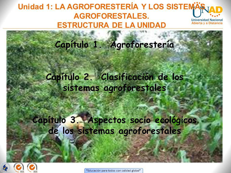 Capítulo 1. Agroforestería