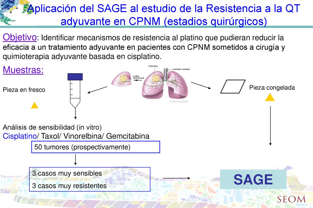 Aplicación del SAGE al estudio de la Resistencia a la QT adyuvante en CPNM (estadios quirúrgicos)