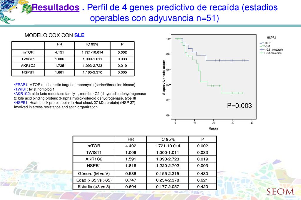 Resultados . Perfil de 4 genes predictivo de recaída (estadios operables con adyuvancia n=51)