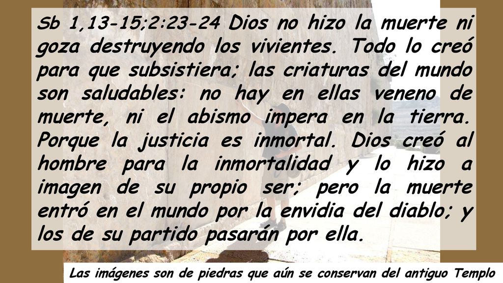 Sb 1,13-15;2:23-24 Dios no hizo la muerte ni goza destruyendo los vivientes. Todo lo creó para que subsistiera; las criaturas del mundo son saludables: no hay en ellas veneno de muerte, ni el abismo impera en la tierra. Porque la justicia es inmortal. Dios creó al hombre para la inmortalidad y lo hizo a imagen de su propio ser; pero la muerte entró en el mundo por la envidia del diablo; y los de su partido pasarán por ella.