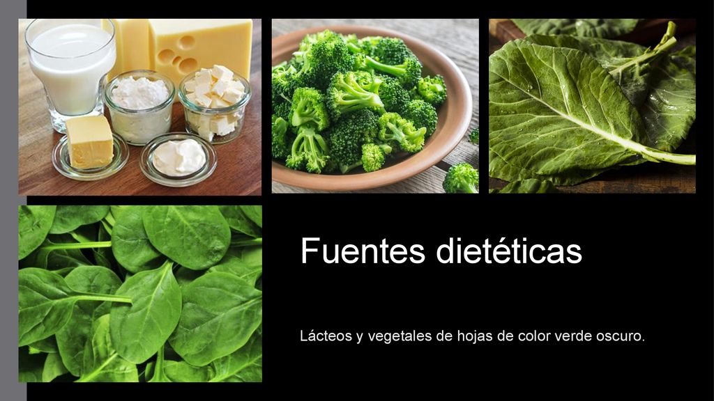 Lácteos y vegetales de hojas de color verde oscuro.