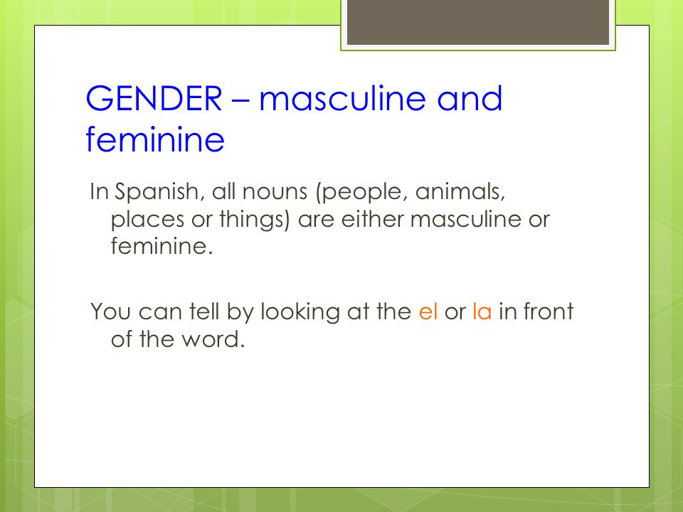 GENDER – masculine and feminine
