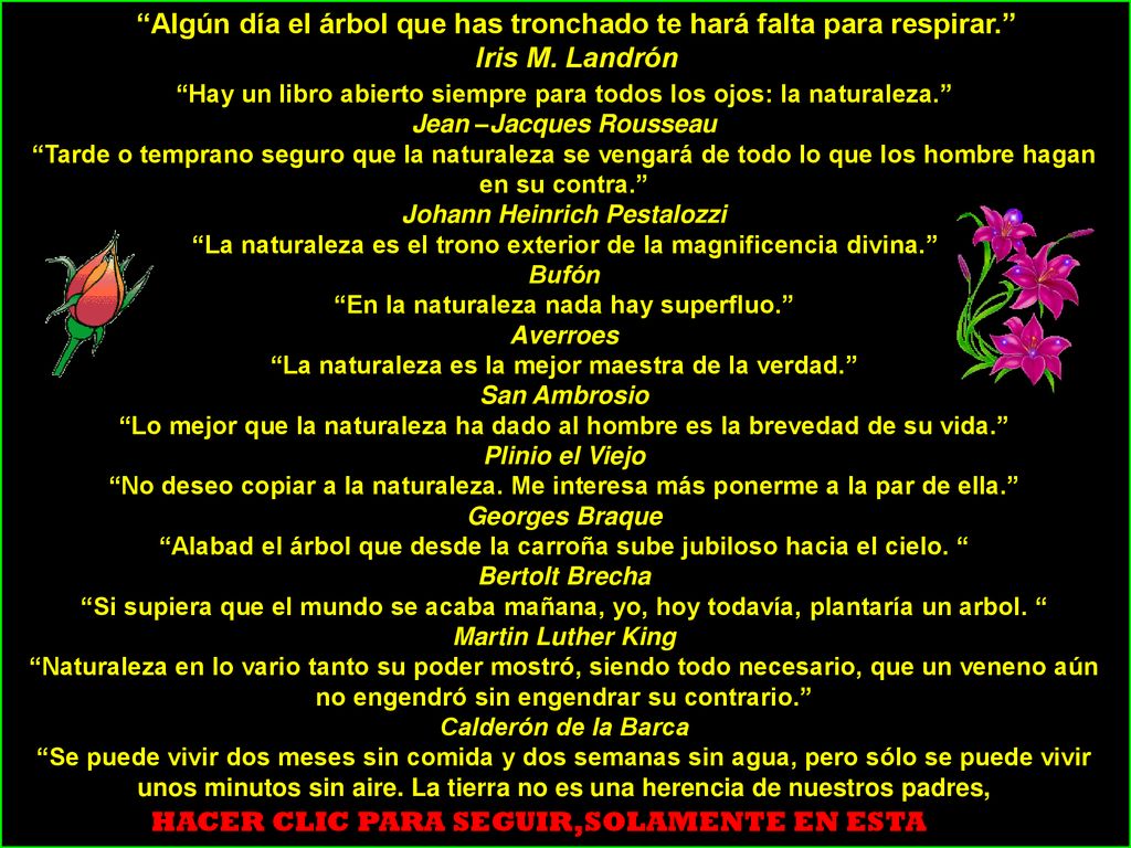 Algún día el árbol que has tronchado te hará falta para respirar.
