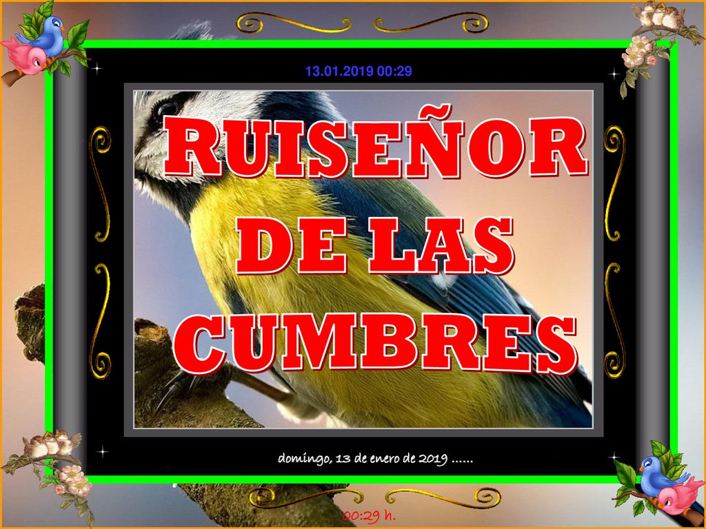RUISEÑOR DE LAS CUMBRES domingo, 13 de enero de 2019 …… 00:29 h.