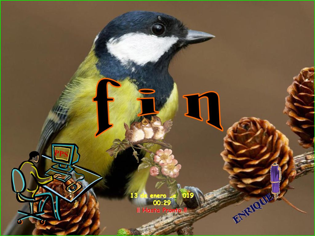 f i n PPS 13 de enero de :29 ¡¡ Hasta Pronto !!