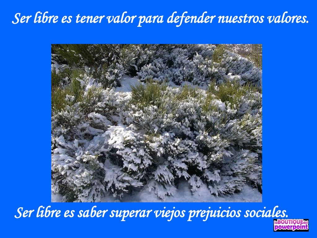 Ser libre es tener valor para defender nuestros valores.