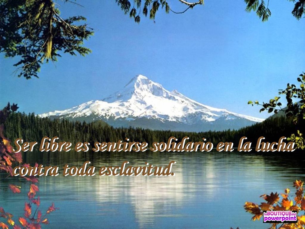 Ser libre es sentirse solidario en la lucha contra toda esclavitud.