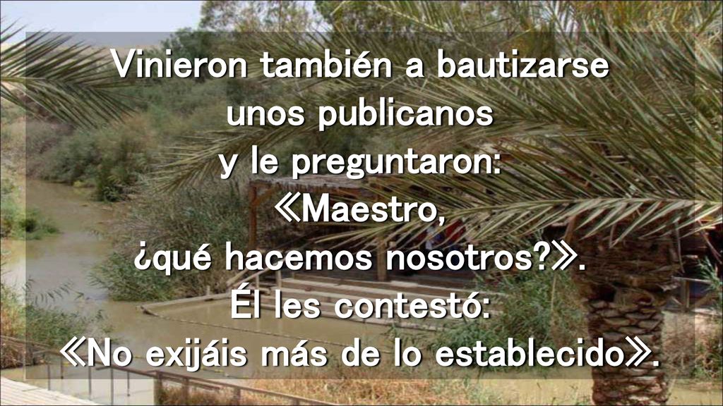 Vinieron también a bautizarse unos publicanos y le preguntaron: «Maestro, ¿qué hacemos nosotros ».