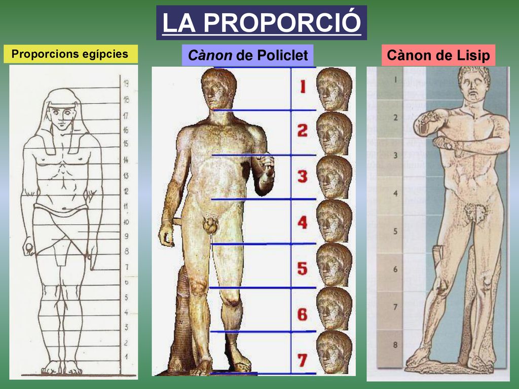 LA PROPORCIÓ Proporcions egípcies Cànon de Policlet Cànon de Lisip