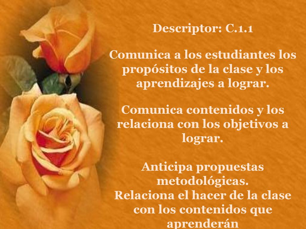 Comunica contenidos y los relaciona con los objetivos a lograr.