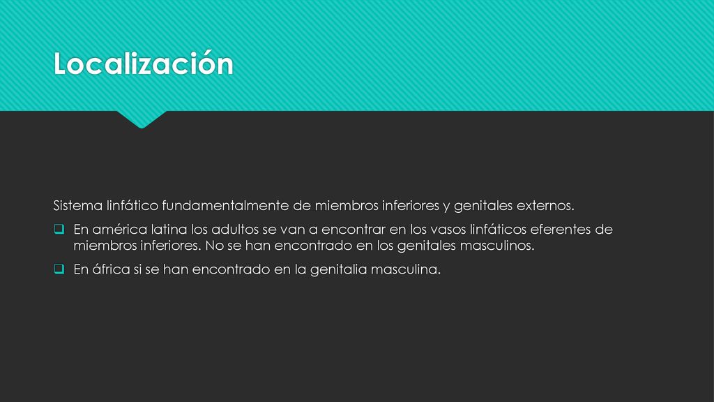 Localización Sistema linfático fundamentalmente de miembros inferiores y genitales externos.