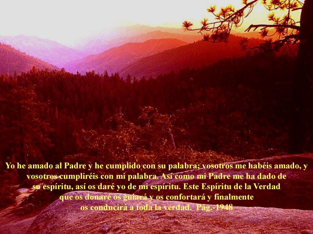 Yo he amado al Padre y he cumplido con su palabra; vosotros me habéis amado, y vosotros cumpliréis con mi palabra.