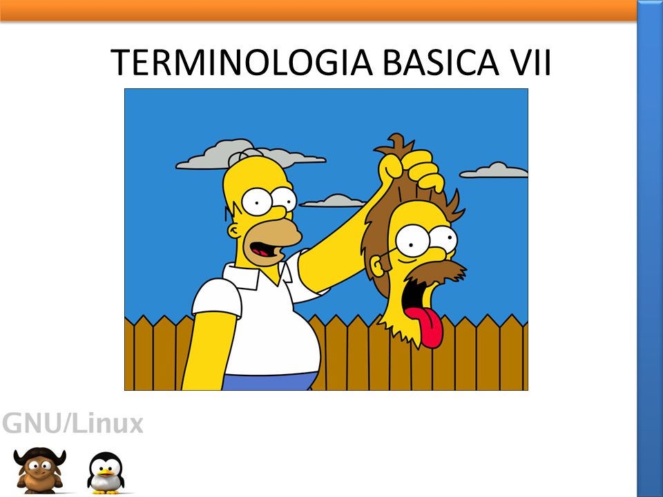 TERMINOLOGIA BASICA VII
