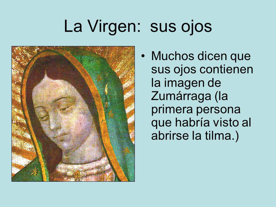 La Virgen: sus ojos Muchos dicen que sus ojos contienen la imagen de Zumárraga (la primera persona que habría visto al abrirse la tilma.)