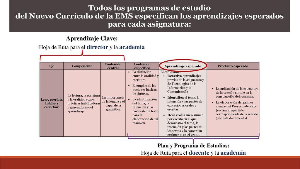 Leer, escribir, hablar y escuchar. Plan y Programa de Estudios: