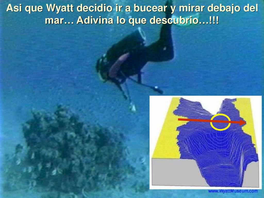 Asi que Wyatt decidio ir a bucear y mirar debajo del mar… Adivina lo que descubrio…!!!