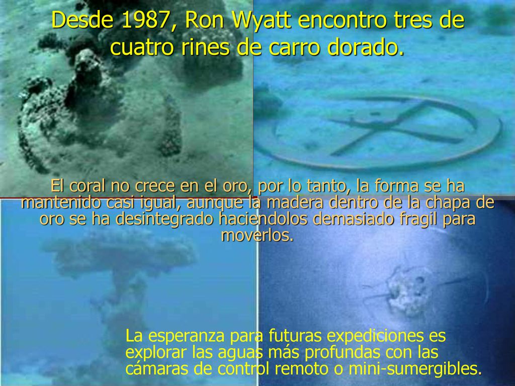 Desde 1987, Ron Wyatt encontro tres de cuatro rines de carro dorado.