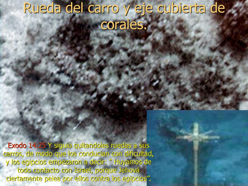 Rueda del carro y eje cubierta de corales.