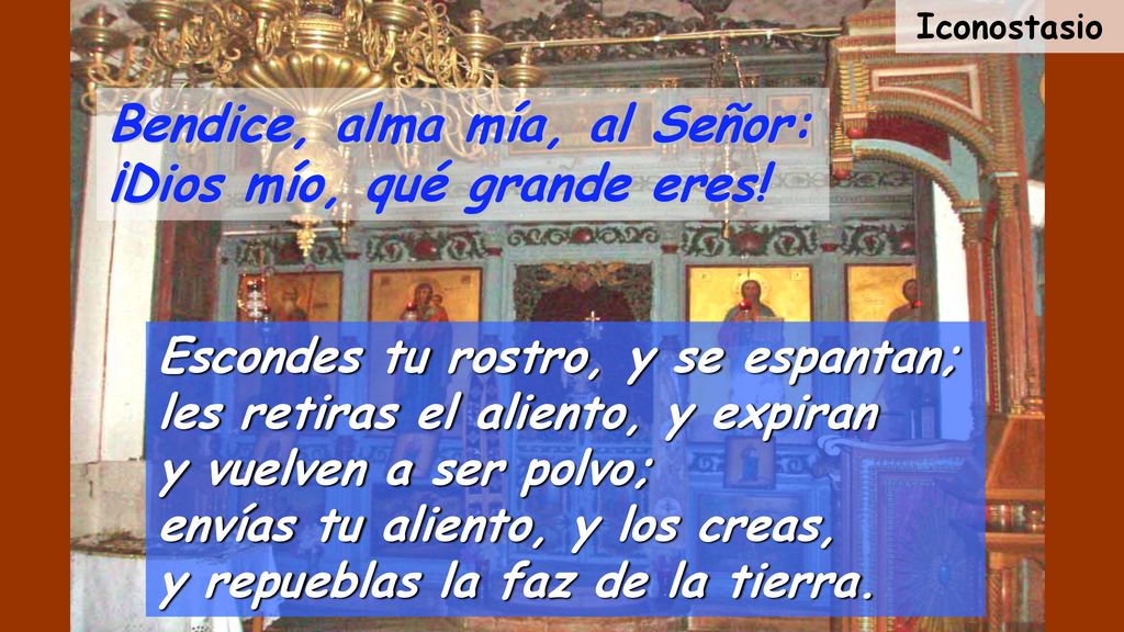 Bendice, alma mía, al Señor: ¡Dios mío, qué grande eres!