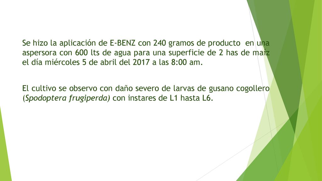 Se hizo la aplicación de E-BENZ con 240 gramos de producto en una aspersora con 600 lts de agua para una superficie de 2 has de maíz el día miércoles 5 de abril del 2017 a las 8:00 am.