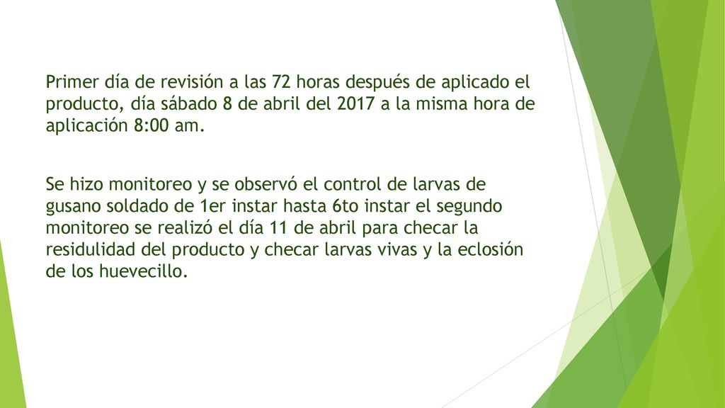 Primer día de revisión a las 72 horas después de aplicado el producto, día sábado 8 de abril del 2017 a la misma hora de aplicación 8:00 am.