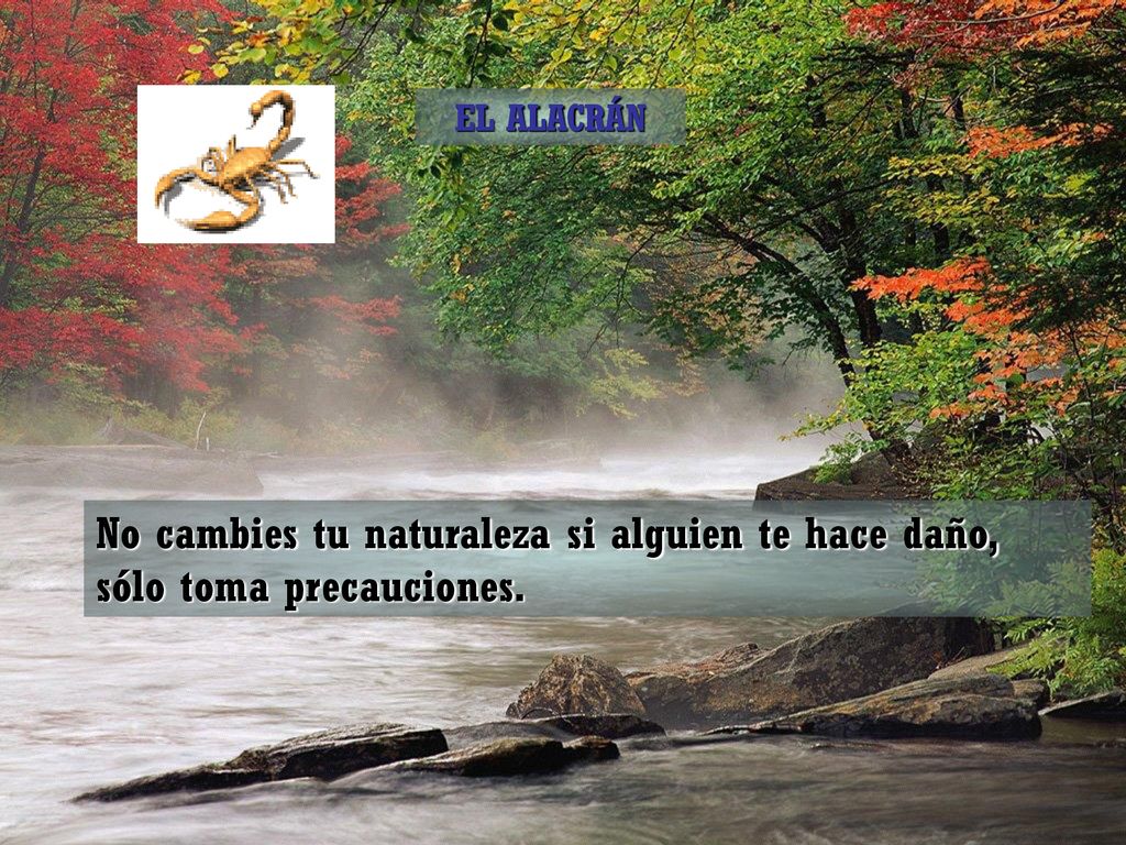 EL ALACRÁN No cambies tu naturaleza si alguien te hace daño, sólo toma precauciones.