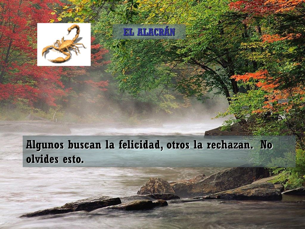 Algunos buscan la felicidad, otros la rechazan. No olvides esto.