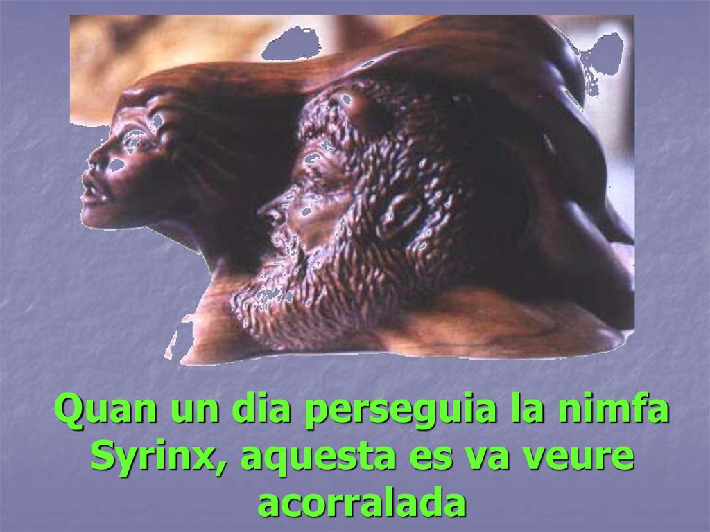 Quan un dia perseguia la nimfa Syrinx, aquesta es va veure acorralada