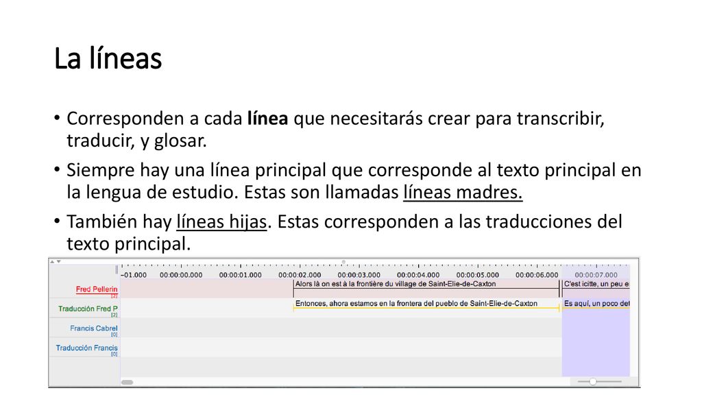La líneas Corresponden a cada línea que necesitarás crear para transcribir, traducir, y glosar.