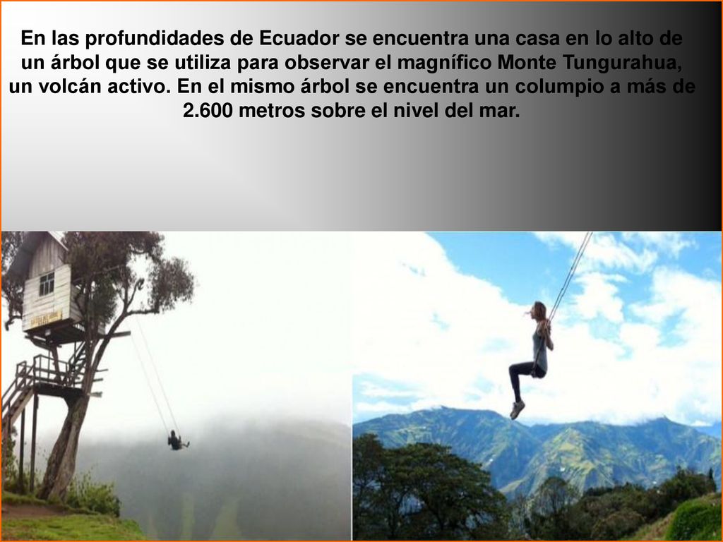En las profundidades de Ecuador se encuentra una casa en lo alto de un árbol que se utiliza para observar el magnífico Monte Tungurahua, un volcán activo. En el mismo árbol se encuentra un columpio a más de metros sobre el nivel del mar.