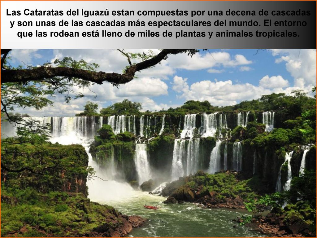 Las Cataratas del Iguazú estan compuestas por una decena de cascadas y son unas de las cascadas más espectaculares del mundo. El entorno que las rodean está lleno de miles de plantas y animales tropicales.