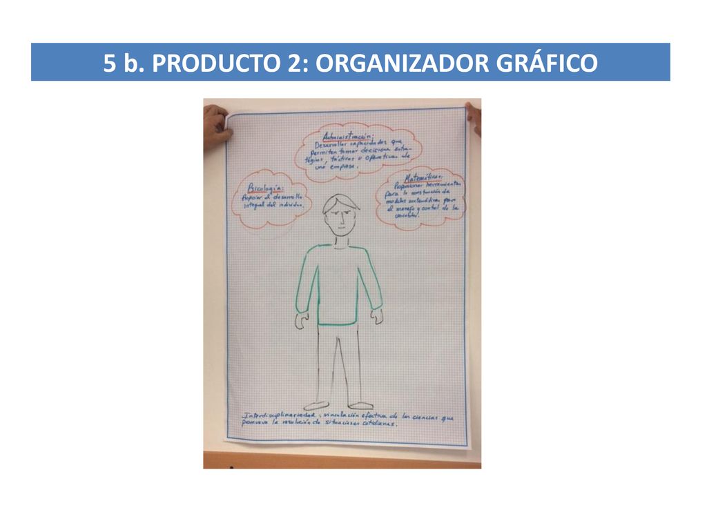 5 b. PRODUCTO 2: ORGANIZADOR GRÁFICO
