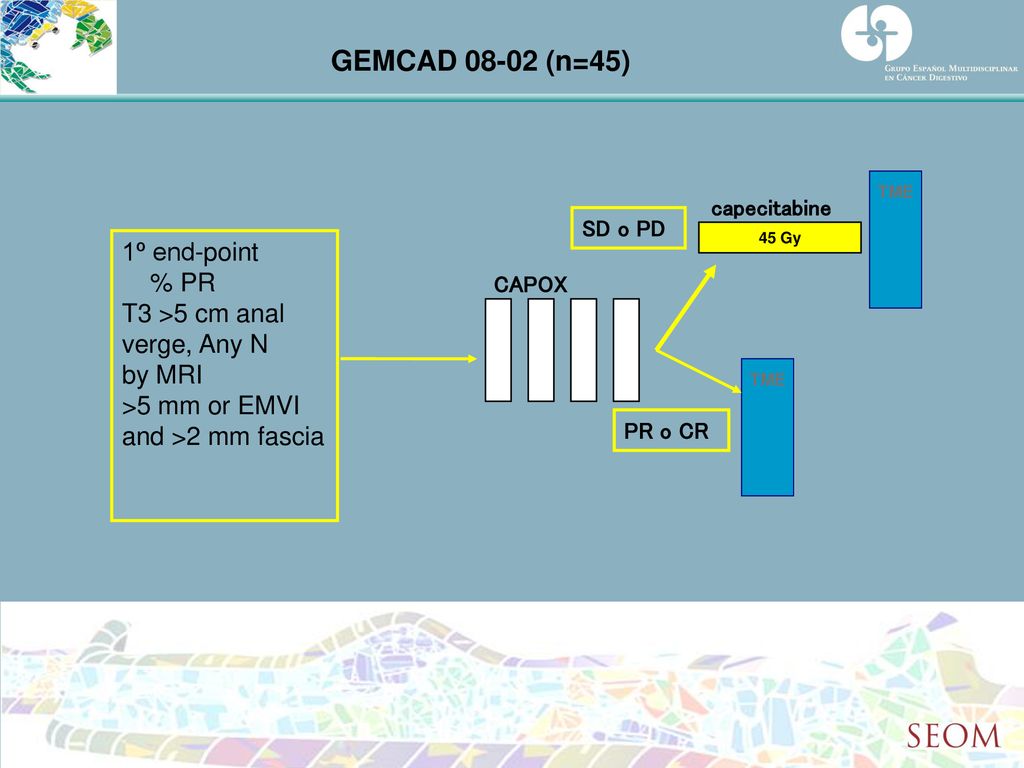 GEMCAD (n=45) 1º end-point % PR T3 >5 cm anal verge, Any N