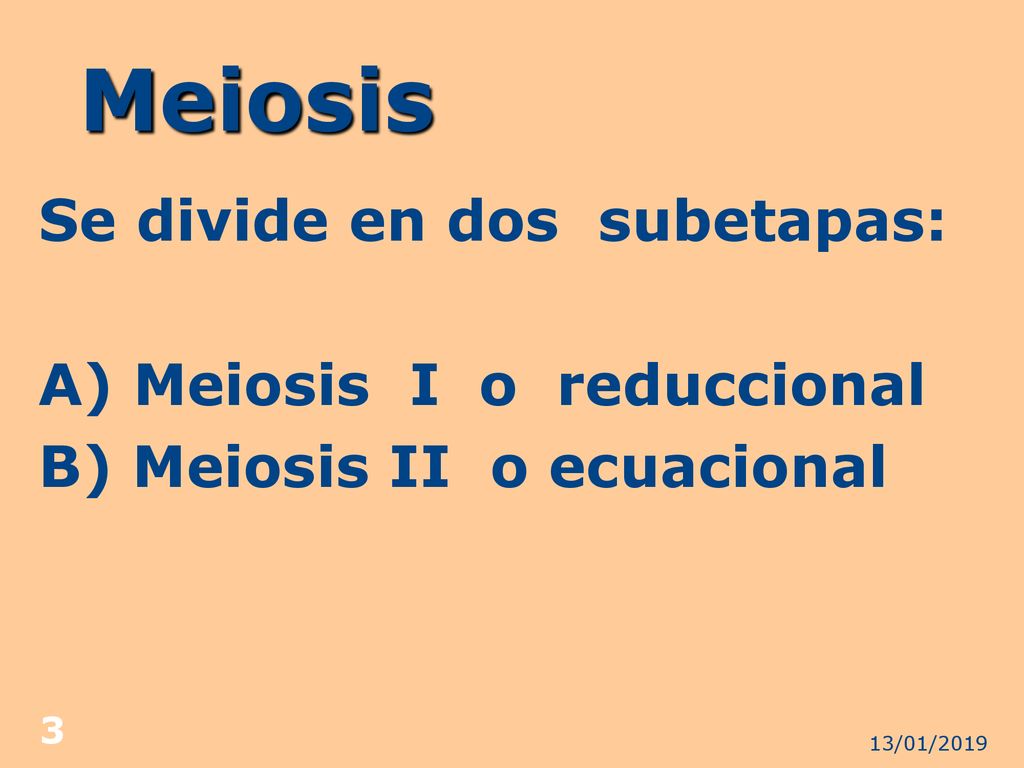 Meiosis Se divide en dos subetapas: A) Meiosis I o reduccional B) Meiosis II o ecuacional 13/01/2019.
