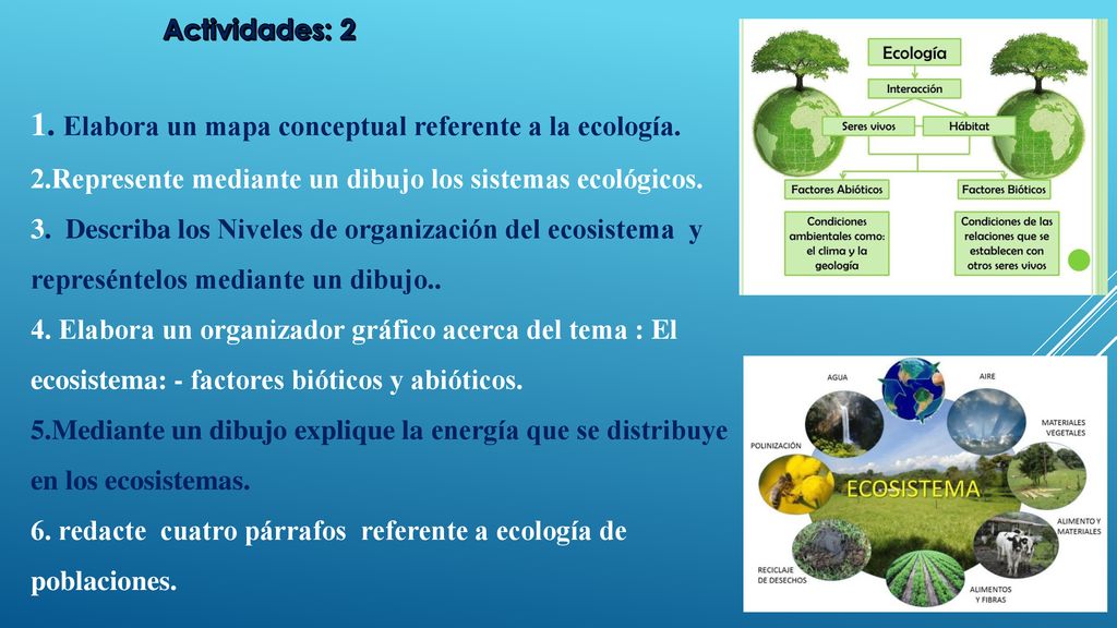 1. Elabora un mapa conceptual referente a la ecología.
