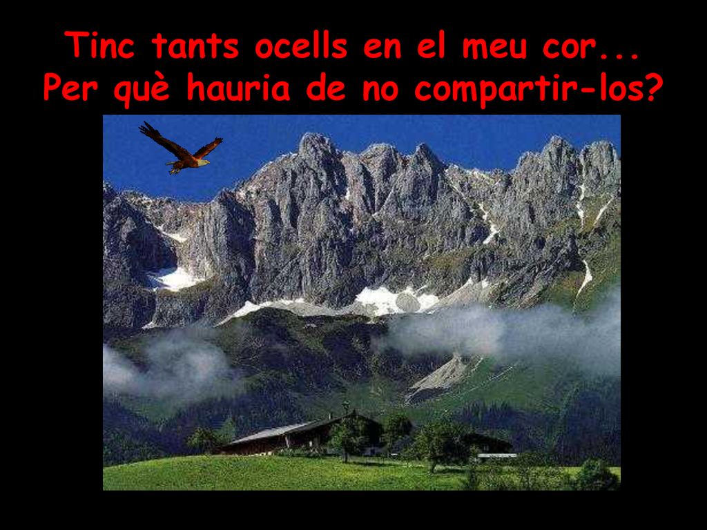 Tinc tants ocells en el meu cor... Per què hauria de no compartir-los