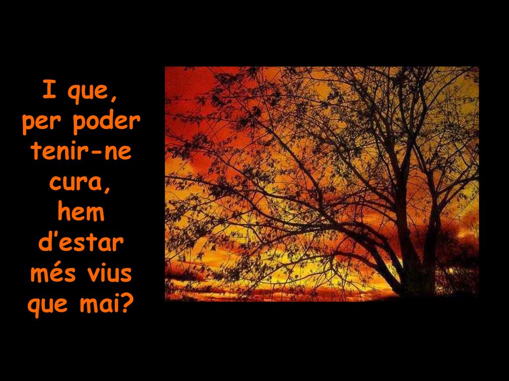 I que, per poder tenir-ne cura, hem d’estar més vius que mai