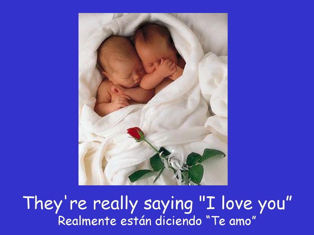 They re really saying I love you Realmente están diciendo Te amo
