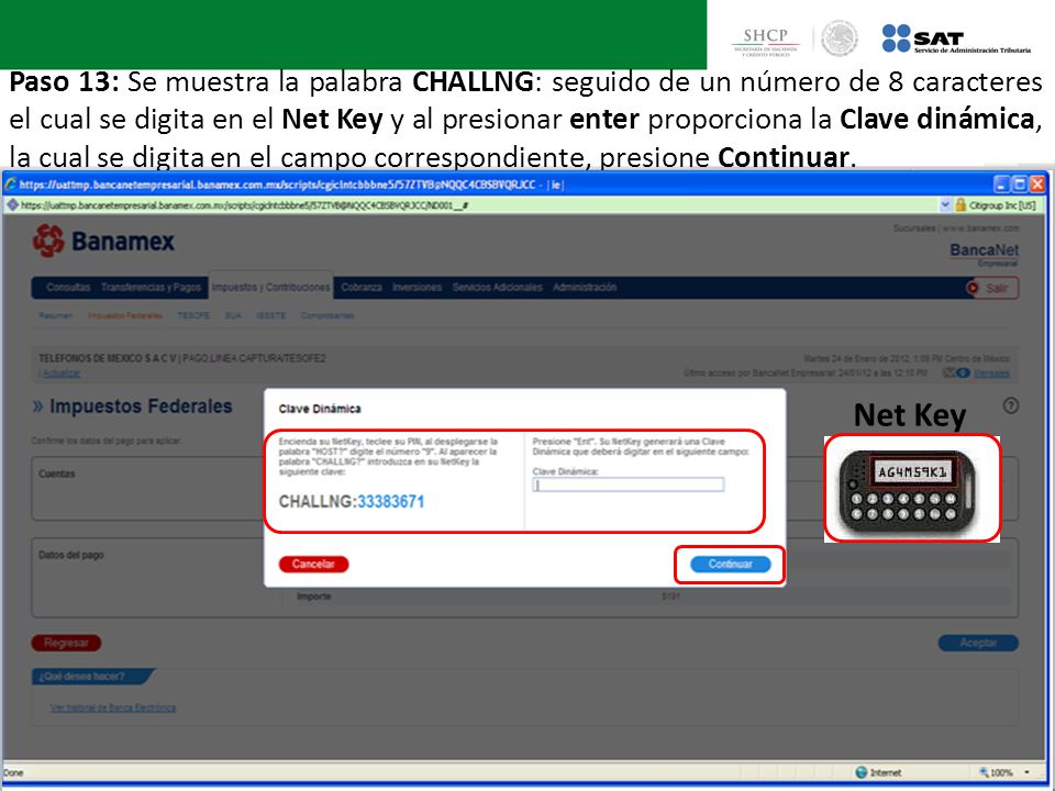 Paso 13: Se muestra la palabra CHALLNG: seguido de un número de 8 caracteres el cual se digita en el Net Key y al presionar enter proporciona la Clave dinámica, la cual se digita en el campo correspondiente, presione Continuar.
