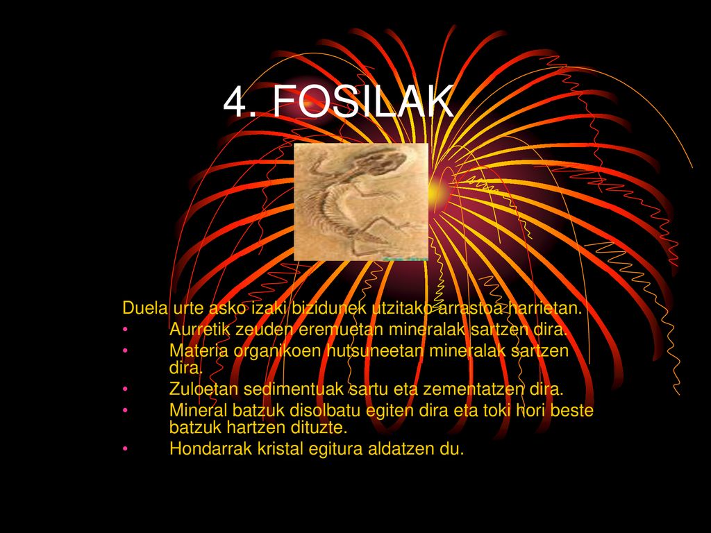 4. FOSILAK Duela urte asko izaki bizidunek utzitako arrastoa harrietan. Aurretik zeuden eremuetan mineralak sartzen dira.