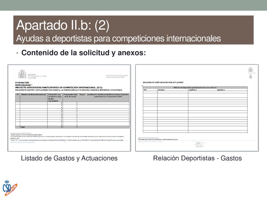 Apartado II.b: (2) Ayudas a deportistas para competiciones internacionales