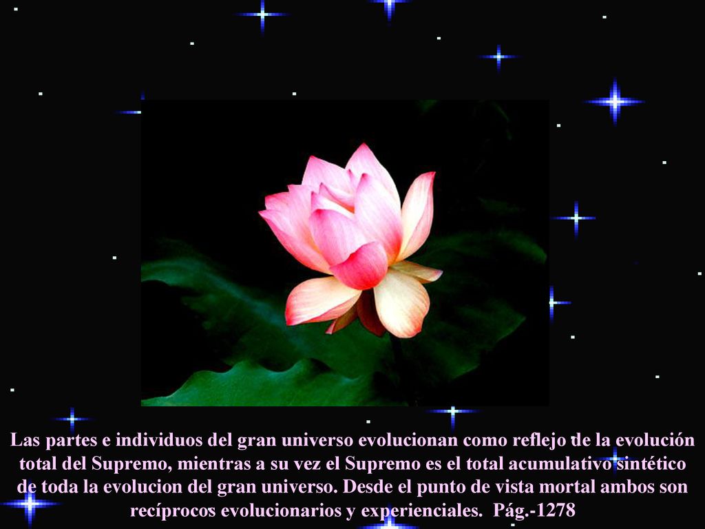 Las partes e individuos del gran universo evolucionan como reflejo de la evolución total del Supremo, mientras a su vez el Supremo es el total acumulativo sintético de toda la evolucion del gran universo.