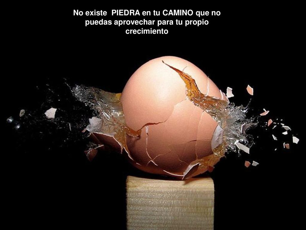 No existe PIEDRA en tu CAMINO que no puedas aprovechar para tu propio crecimiento